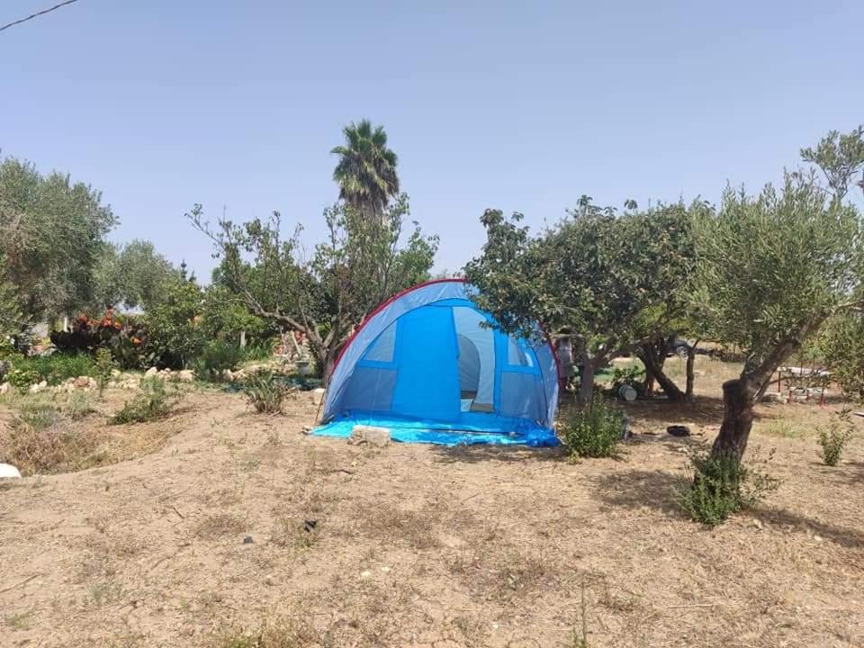 Aree Tende Presso La Casa In Campagna Di Ottavia Hotel Алецио Екстериор снимка
