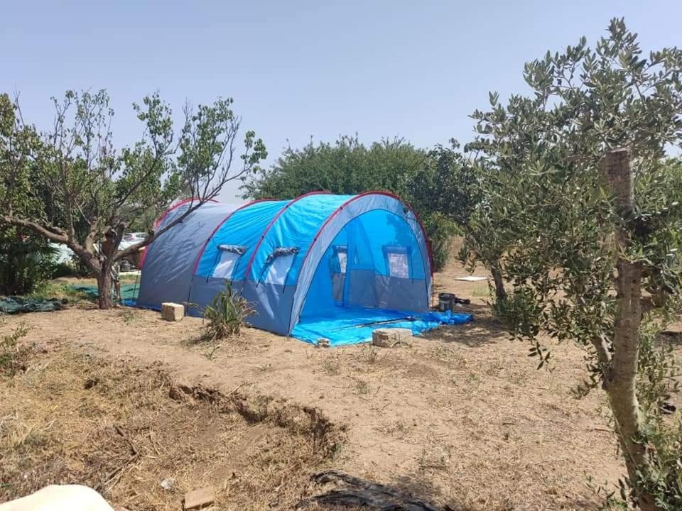 Aree Tende Presso La Casa In Campagna Di Ottavia Hotel Алецио Екстериор снимка