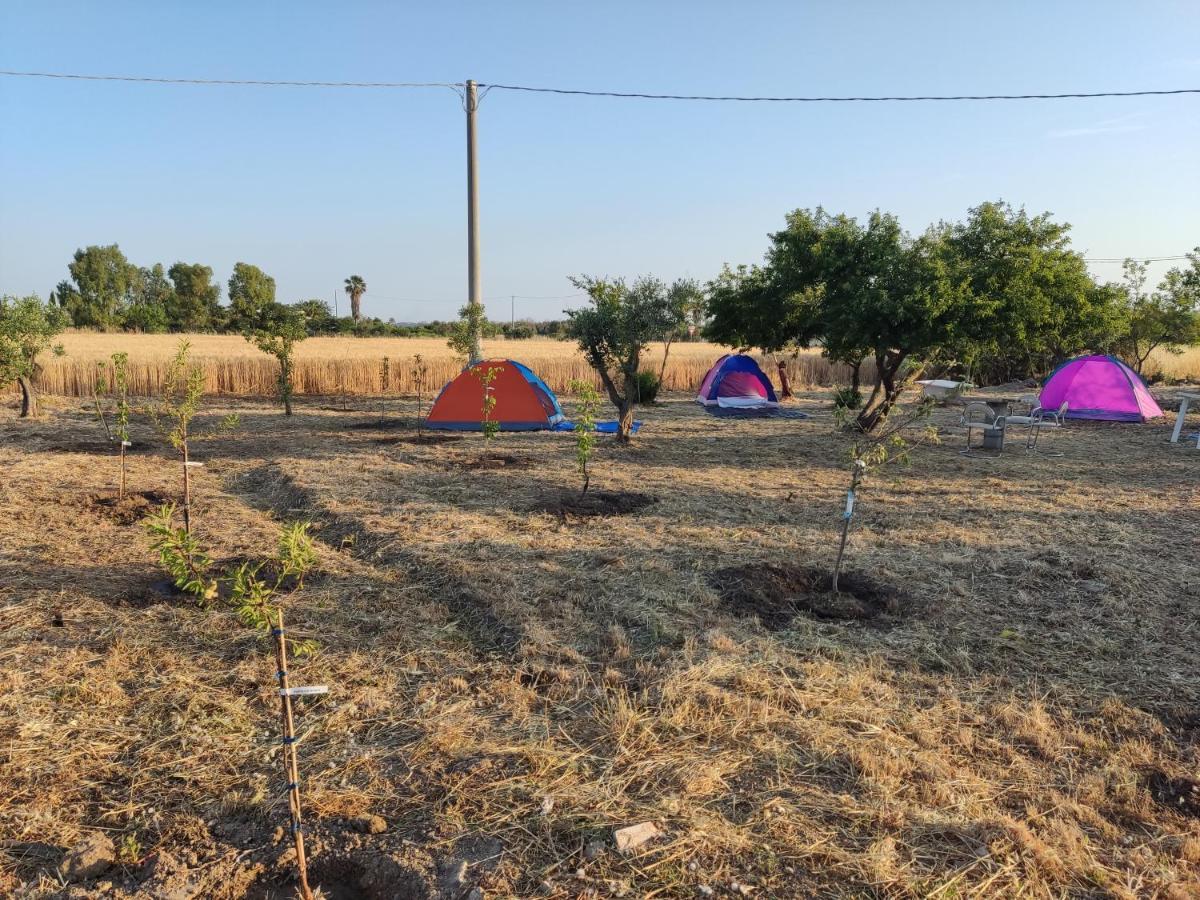 Aree Tende Presso La Casa In Campagna Di Ottavia Hotel Алецио Екстериор снимка