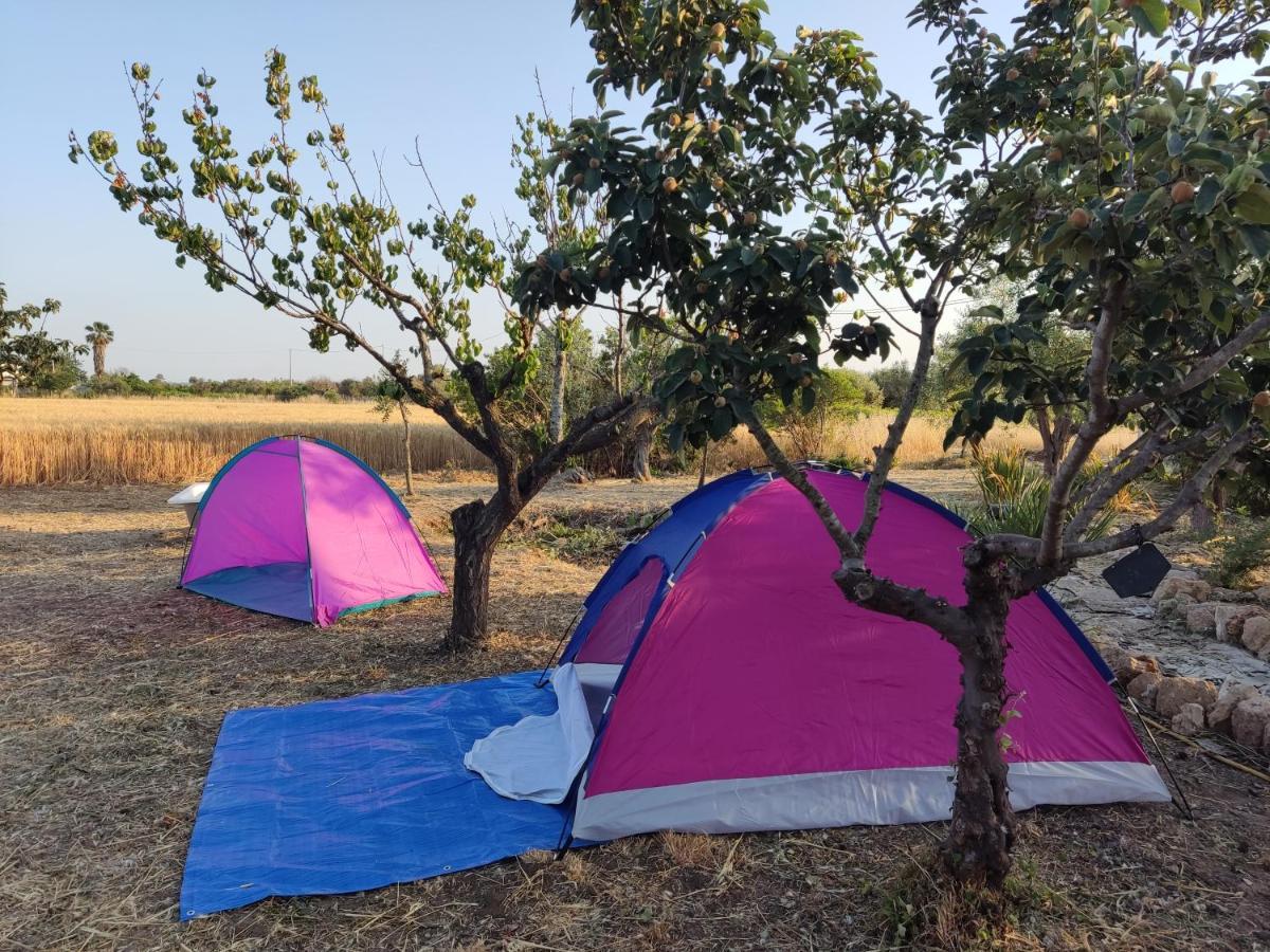 Aree Tende Presso La Casa In Campagna Di Ottavia Hotel Алецио Екстериор снимка