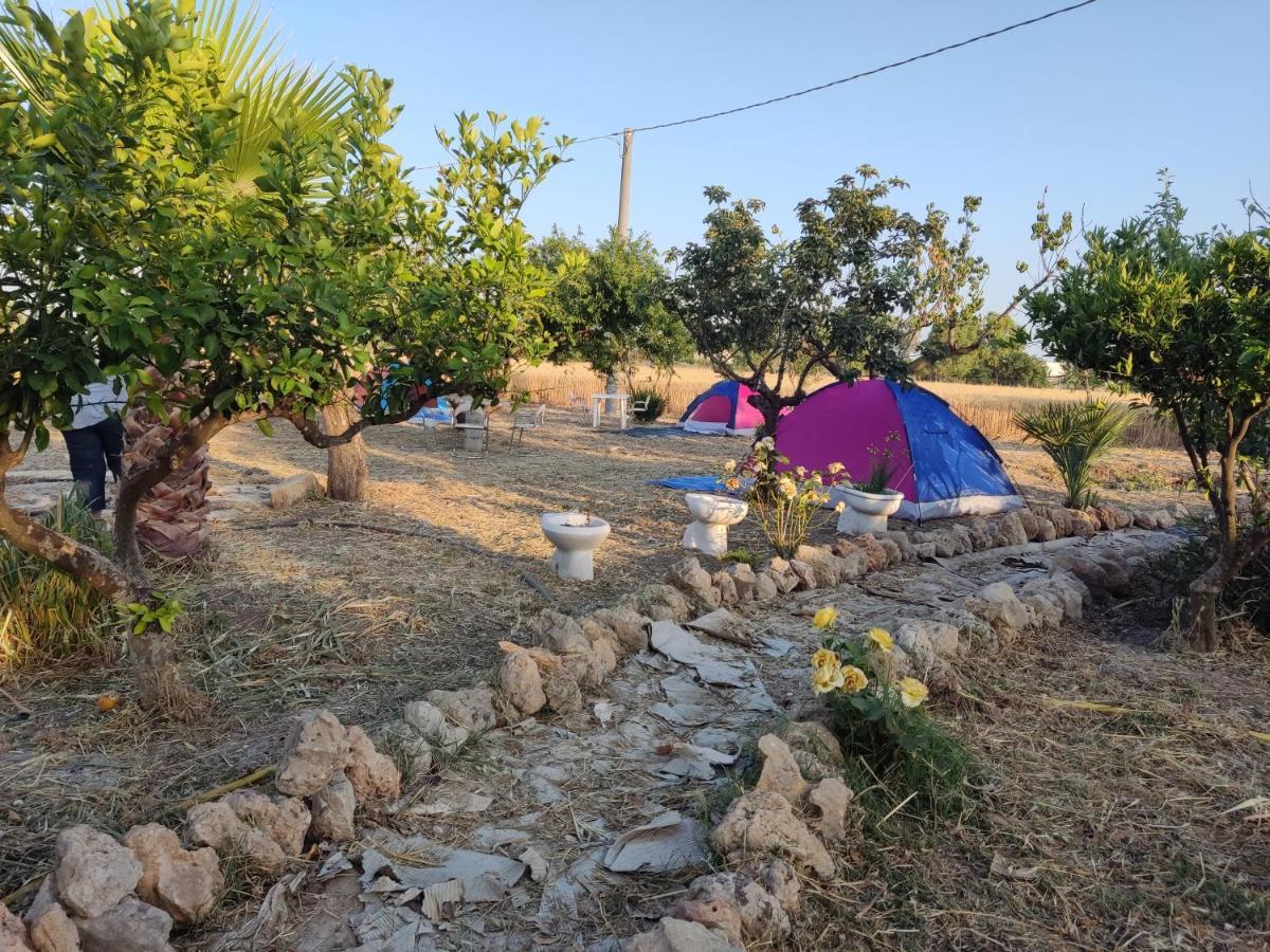 Aree Tende Presso La Casa In Campagna Di Ottavia Hotel Алецио Екстериор снимка