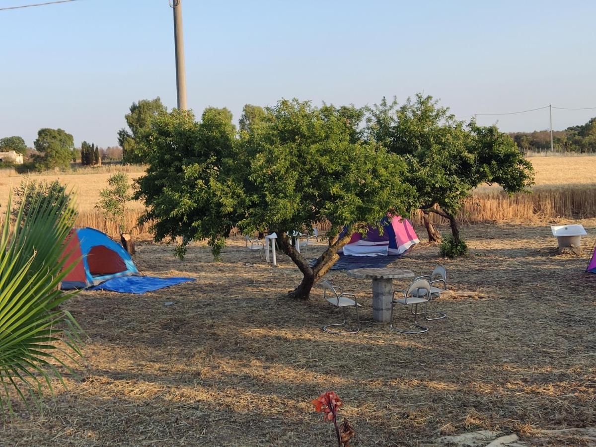 Aree Tende Presso La Casa In Campagna Di Ottavia Hotel Алецио Екстериор снимка