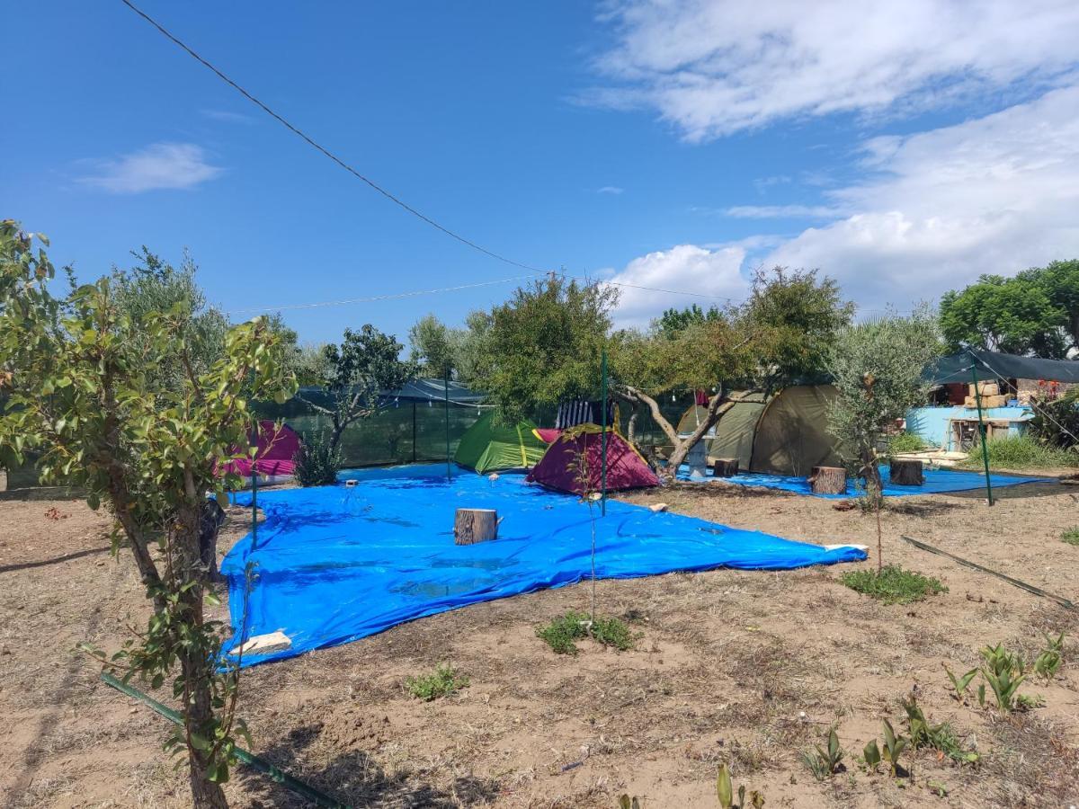 Aree Tende Presso La Casa In Campagna Di Ottavia Hotel Алецио Екстериор снимка